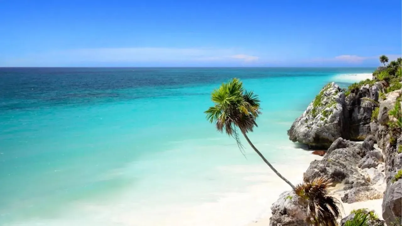 Beautiful Luxury Downtown Apartment Playa del Carmen México